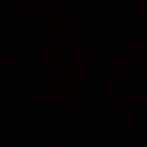 Meet your Posher, Yliana